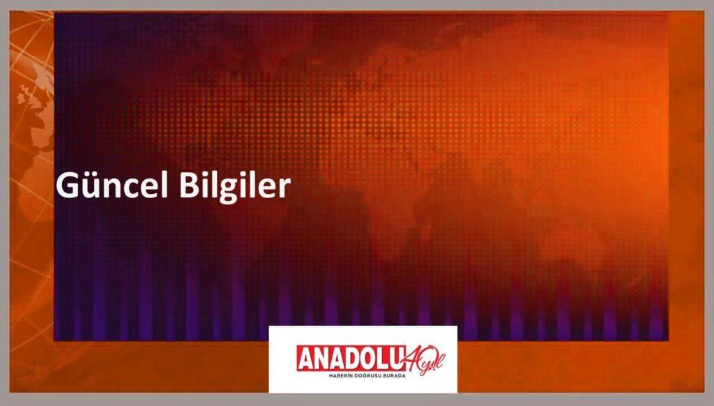 Bayramiç beyazı nedir