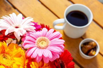 Bir fincan parlak renkli Etiyopya Yirgacheffe filtre kahve