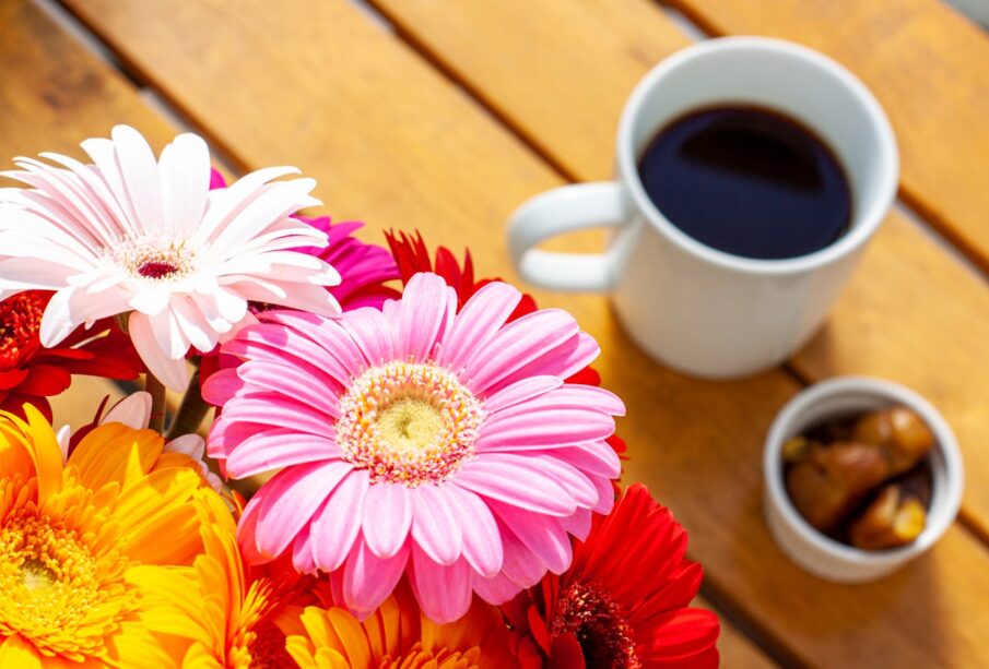 Bir fincan parlak renkli Etiyopya Yirgacheffe filtre kahve