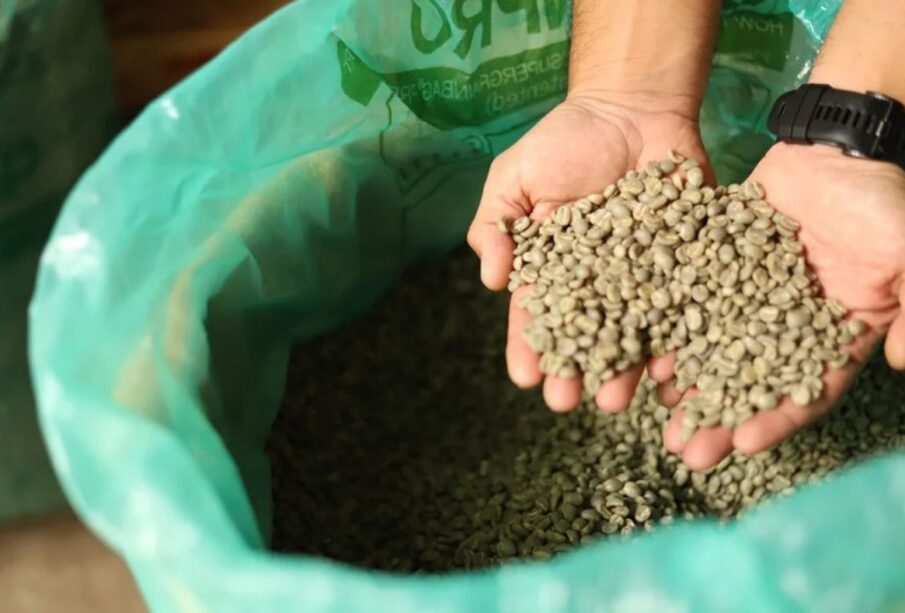 Yeşil kahve ne kadar süre taze kalır